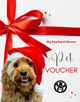 Holiday Pet Adoption Voucher